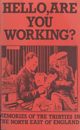Cover for Hello, Are you working?